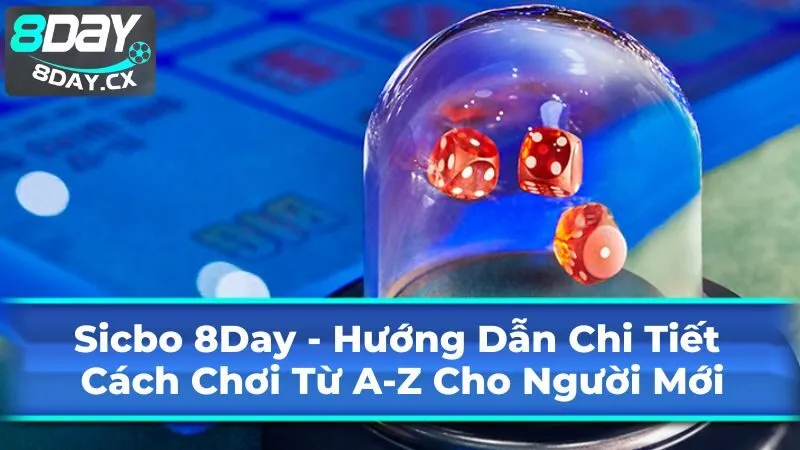 Sicbo 8Day – Chi Tiết Cách Chơi Từ A-Z Cho Người Mới